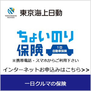 ちょいのり保険　東京海上日動火災保険